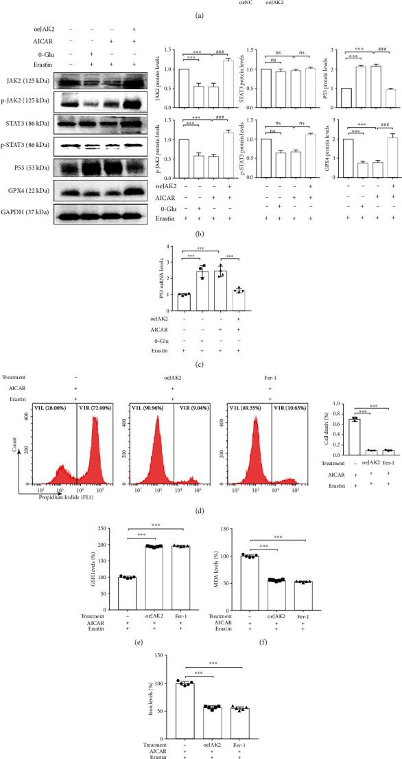 https://cdn.ncbi.nlm.nih.gov/pmc/blobs/d0f6/9554664/b2c62616f4a0/OMCL2022-2353115.007.jpg