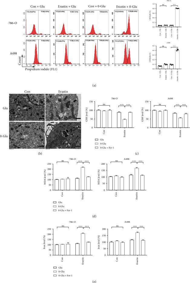 https://cdn.ncbi.nlm.nih.gov/pmc/blobs/d0f6/9554664/db8060e2ccd6/OMCL2022-2353115.001.jpg