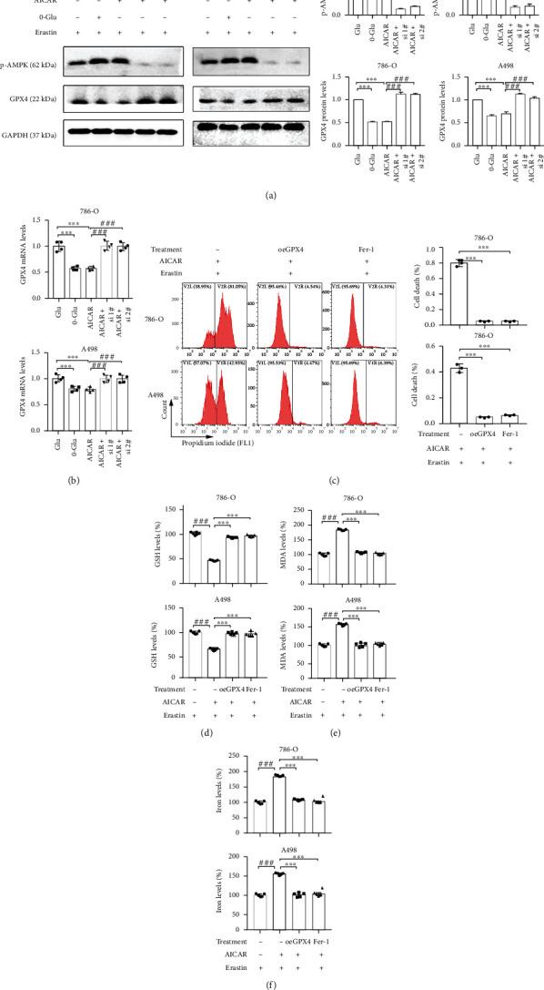 https://cdn.ncbi.nlm.nih.gov/pmc/blobs/d0f6/9554664/ee9fcc35481d/OMCL2022-2353115.004.jpg