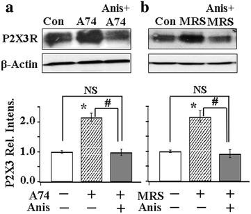 https://cdn.ncbi.nlm.nih.gov/pmc/blobs/d0f7/4635984/75646d3b2ae5/12990_2015_73_Fig5_HTML.jpg