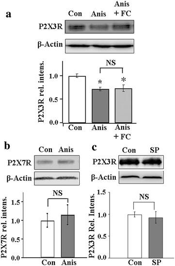 https://cdn.ncbi.nlm.nih.gov/pmc/blobs/d0f7/4635984/e0774f07d5c0/12990_2015_73_Fig1_HTML.jpg