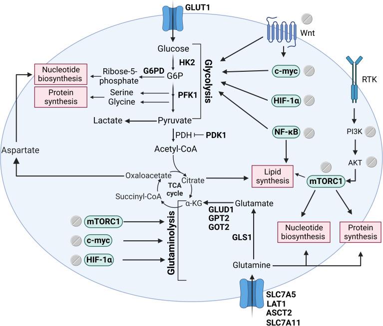 https://cdn.ncbi.nlm.nih.gov/pmc/blobs/d0f9/10501897/971199af4748/etat-04-1002155-g003.jpg