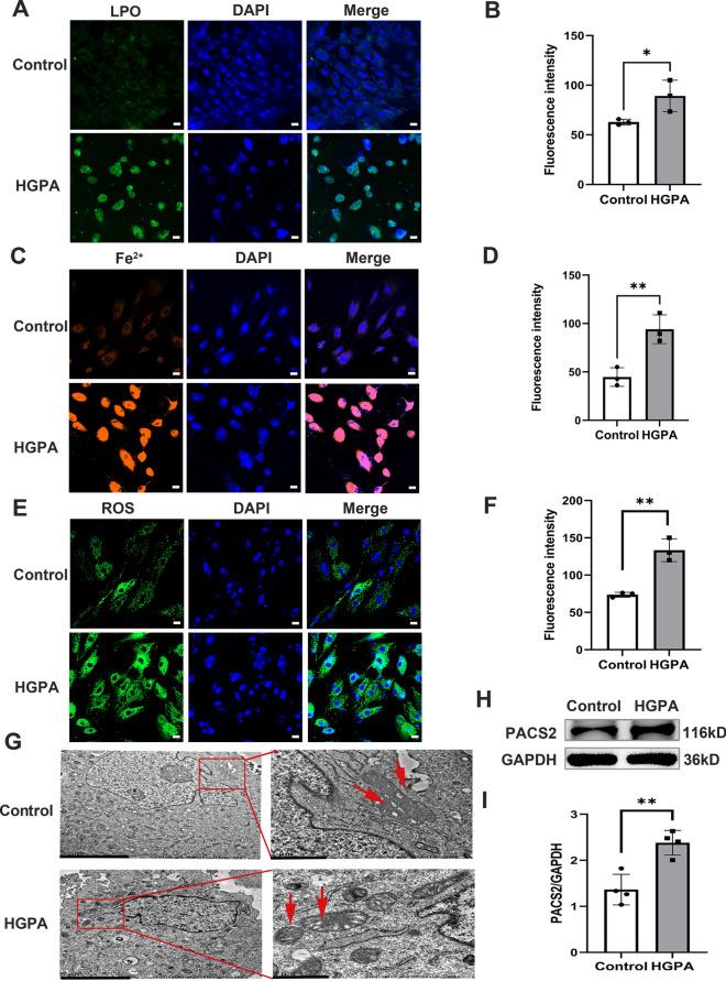 https://cdn.ncbi.nlm.nih.gov/pmc/blobs/d0fa/11619700/34cfc919da42/12933_2024_2514_Fig1_HTML.jpg