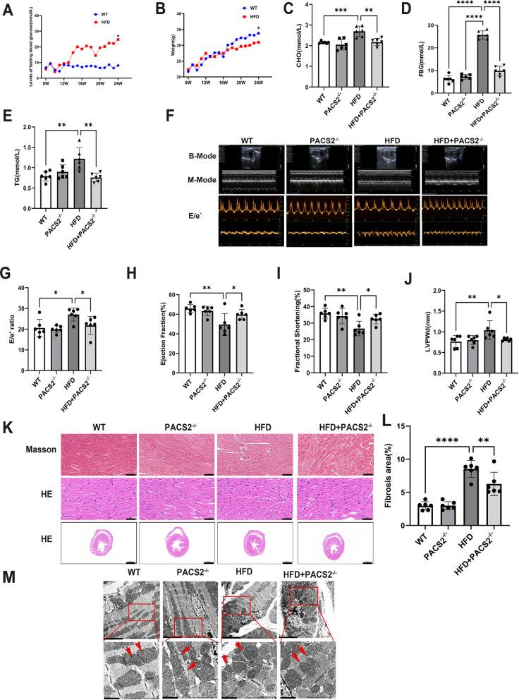https://cdn.ncbi.nlm.nih.gov/pmc/blobs/d0fa/11619700/559bb389d41b/12933_2024_2514_Fig6_HTML.jpg