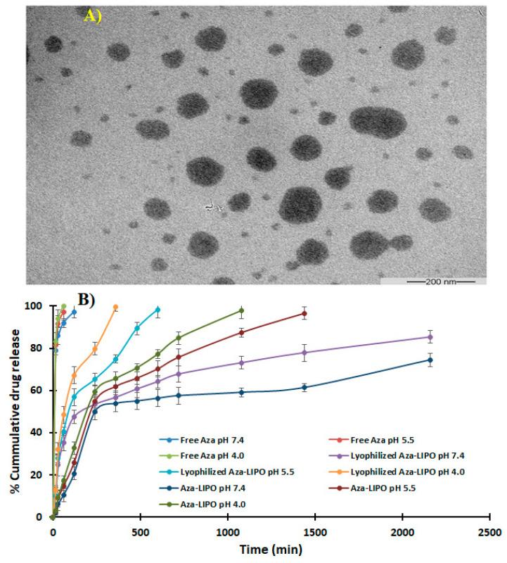 https://cdn.ncbi.nlm.nih.gov/pmc/blobs/d0fa/7828524/18e0f4d9774b/polymers-13-00250-g008.jpg