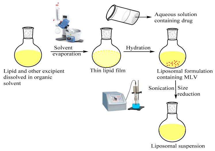 https://cdn.ncbi.nlm.nih.gov/pmc/blobs/d0fa/7828524/63f831ad8b39/polymers-13-00250-g001.jpg