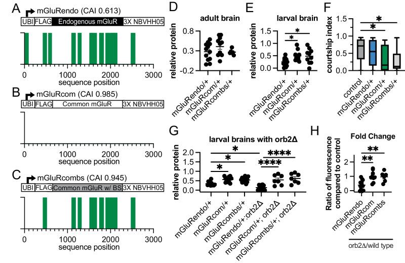 https://cdn.ncbi.nlm.nih.gov/pmc/blobs/d0ff/11190236/3051aca1680e/41467_2024_48344_Fig6_HTML.jpg