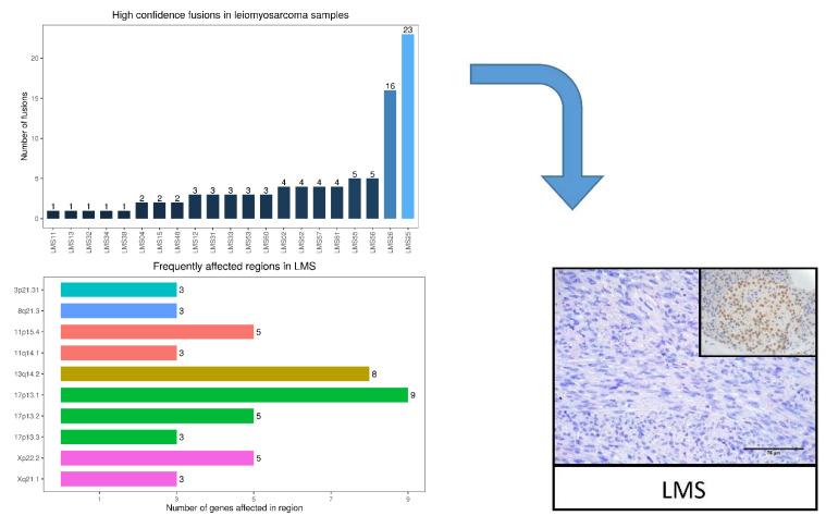 https://cdn.ncbi.nlm.nih.gov/pmc/blobs/d0ff/8877247/39d5ced79cdc/ijms-23-02190-g003a.jpg