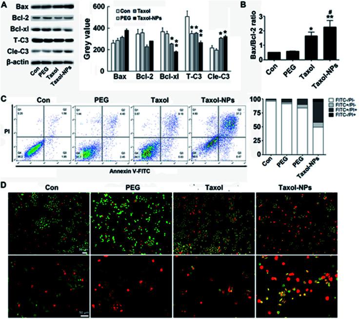 https://cdn.ncbi.nlm.nih.gov/pmc/blobs/d0ff/9051418/6a04bd8c0183/d0ra01117g-f3.jpg
