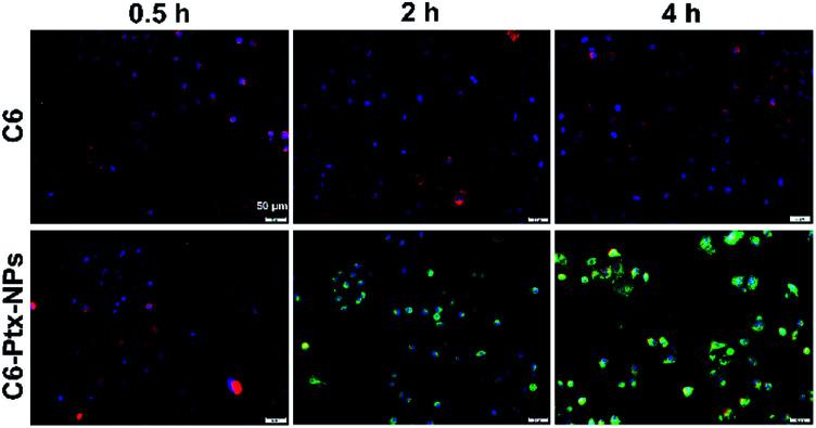 https://cdn.ncbi.nlm.nih.gov/pmc/blobs/d0ff/9051418/cb2f6fceca55/d0ra01117g-f1.jpg