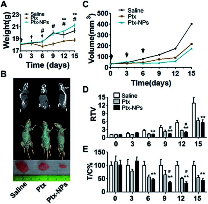 https://cdn.ncbi.nlm.nih.gov/pmc/blobs/d0ff/9051418/fccd5807a312/d0ra01117g-f4.jpg
