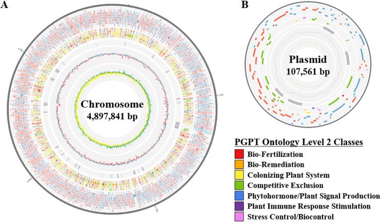 https://cdn.ncbi.nlm.nih.gov/pmc/blobs/d100/11628249/f9ba1903266e/fpls-15-1484616-g001.jpg