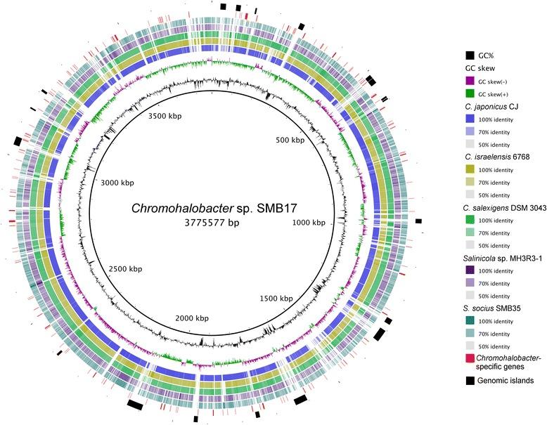 https://cdn.ncbi.nlm.nih.gov/pmc/blobs/d105/5518125/7435597049c6/40793_2017_251_Fig4_HTML.jpg