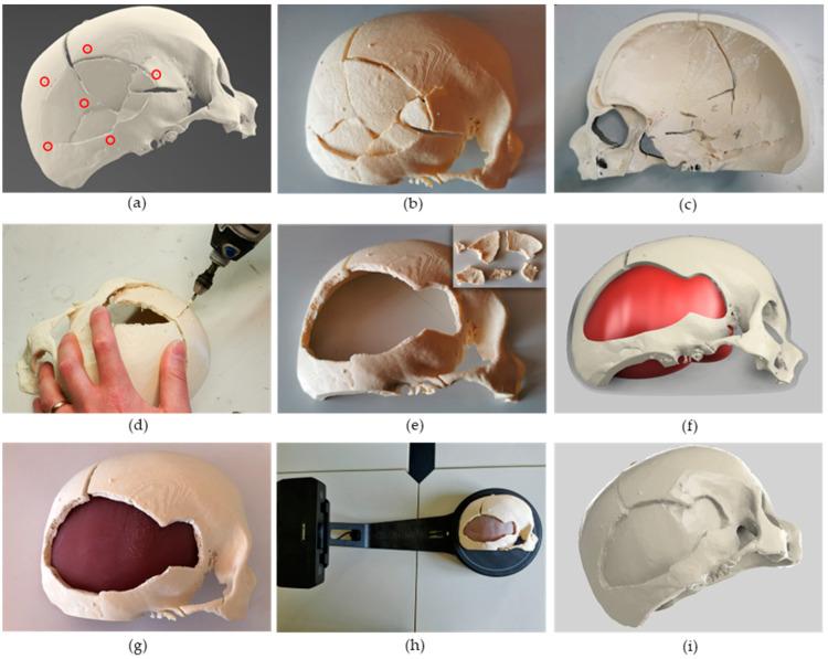 https://cdn.ncbi.nlm.nih.gov/pmc/blobs/d109/10215654/017cd54e21de/bioengineering-10-00560-g003.jpg