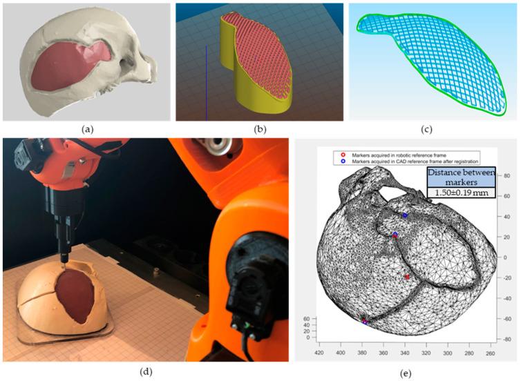 https://cdn.ncbi.nlm.nih.gov/pmc/blobs/d109/10215654/e99f947bf608/bioengineering-10-00560-g004.jpg
