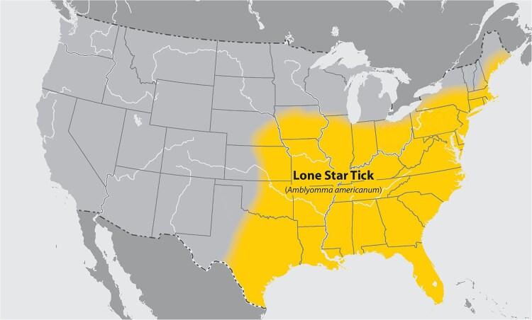 https://cdn.ncbi.nlm.nih.gov/pmc/blobs/d10b/12312359/3863588e49a0/ofaf430f1.jpg