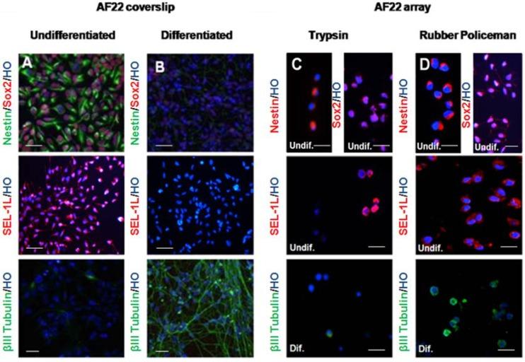 https://cdn.ncbi.nlm.nih.gov/pmc/blobs/d10e/4996362/ad1048372934/microarrays-03-00159-g003.jpg