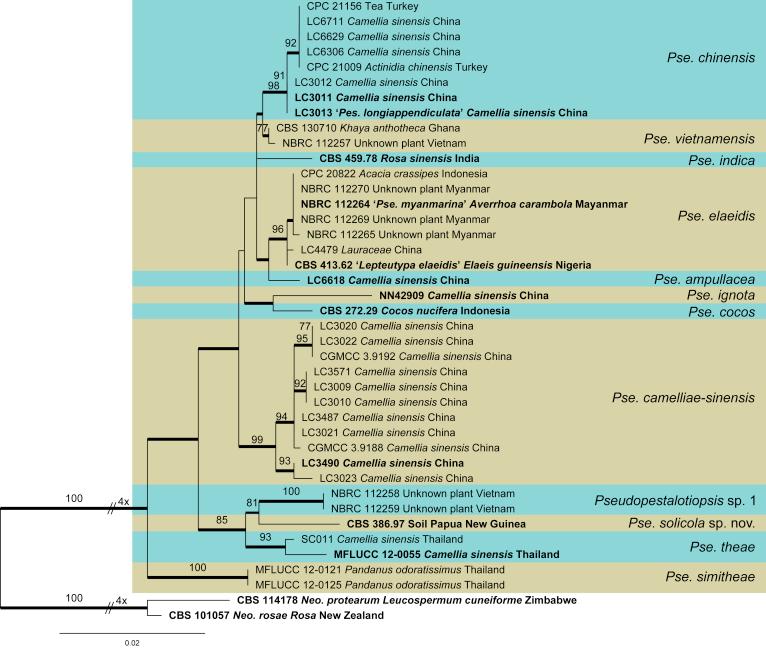 https://cdn.ncbi.nlm.nih.gov/pmc/blobs/d10e/6298422/2e067236b31b/gr6.jpg