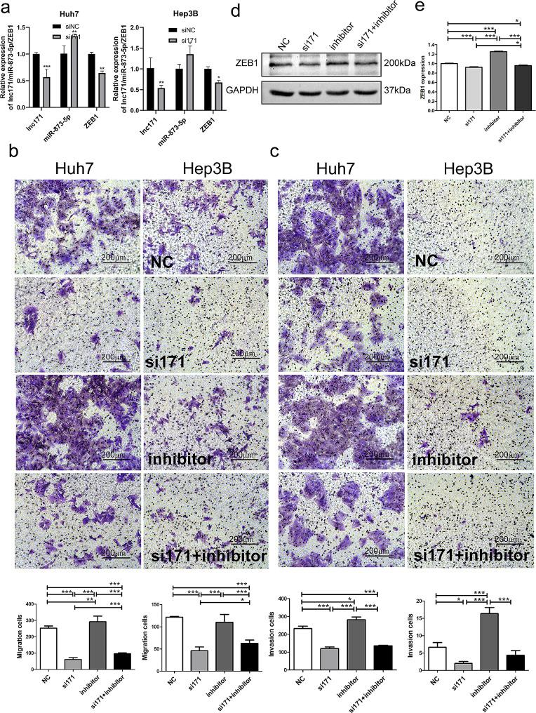 https://cdn.ncbi.nlm.nih.gov/pmc/blobs/d110/11064308/c8c2d9ca0f73/12885_2024_12309_Fig7_HTML.jpg