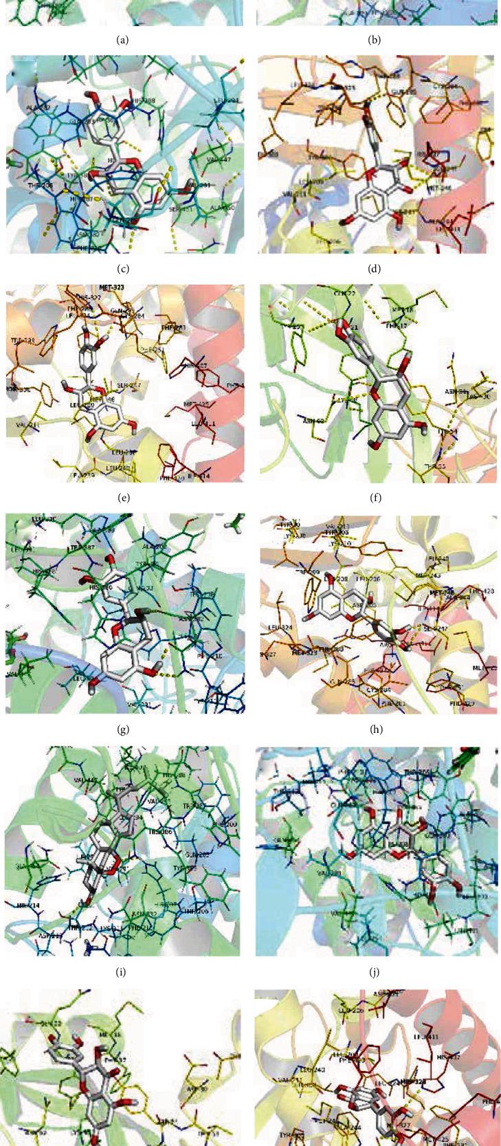 https://cdn.ncbi.nlm.nih.gov/pmc/blobs/d110/8643239/4538615286f9/BMRI2021-8141075.008.jpg