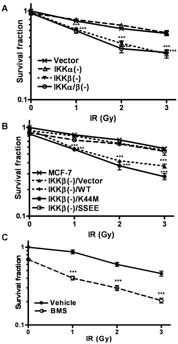 https://cdn.ncbi.nlm.nih.gov/pmc/blobs/d112/3072401/b771e721315a/pone.0018447.g006.jpg