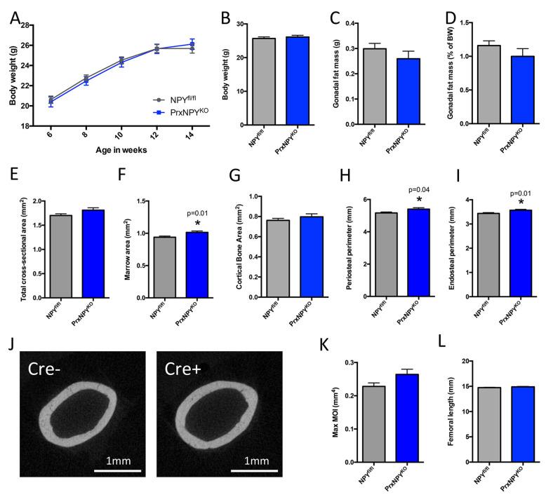 https://cdn.ncbi.nlm.nih.gov/pmc/blobs/d113/7716695/d1d0ca2d6223/JMNI-20-579-g002.jpg