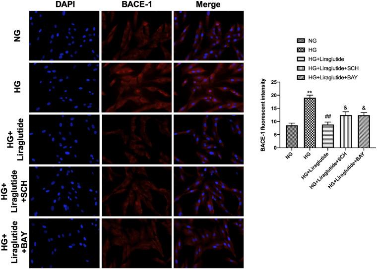 https://cdn.ncbi.nlm.nih.gov/pmc/blobs/d115/11913553/cfc3da1a0eb6/72_EJ23-0723_5.jpg