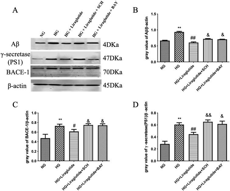 https://cdn.ncbi.nlm.nih.gov/pmc/blobs/d115/11913553/d510b3984448/72_EJ23-0723_4.jpg