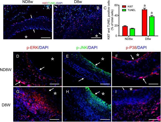 https://cdn.ncbi.nlm.nih.gov/pmc/blobs/d116/4619075/94552a86debe/pone.0141375.g001.jpg