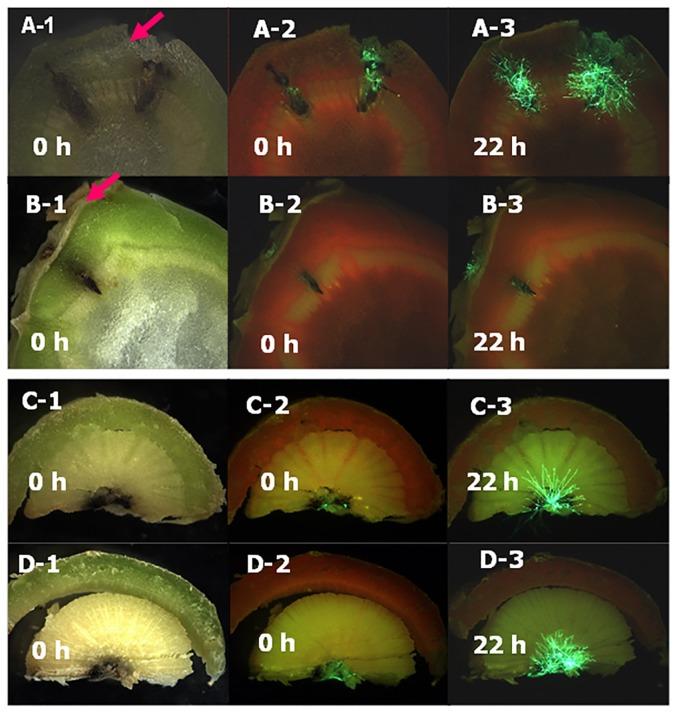 https://cdn.ncbi.nlm.nih.gov/pmc/blobs/d118/3893142/917ad517a140/pone.0084924.g008.jpg