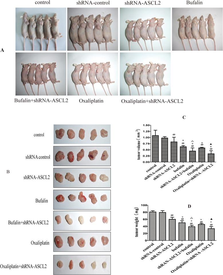 https://cdn.ncbi.nlm.nih.gov/pmc/blobs/d118/5955089/ff98abeb9586/oncotarget-09-23320-g005.jpg