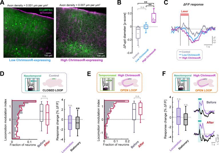 https://cdn.ncbi.nlm.nih.gov/pmc/blobs/d119/10328511/a2836dc10b10/elife-85111-fig4-figsupp1.jpg