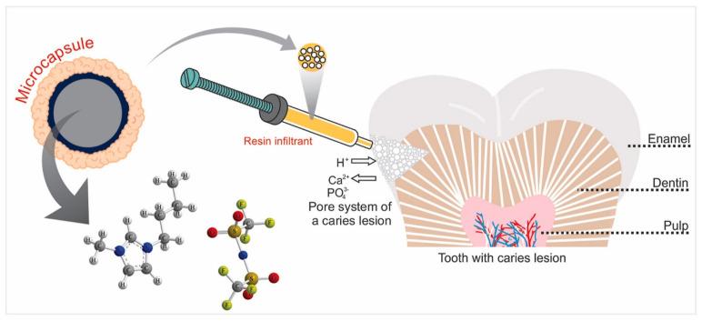 https://cdn.ncbi.nlm.nih.gov/pmc/blobs/d119/10669305/bd72b24eb918/biomedicines-11-03093-g006.jpg