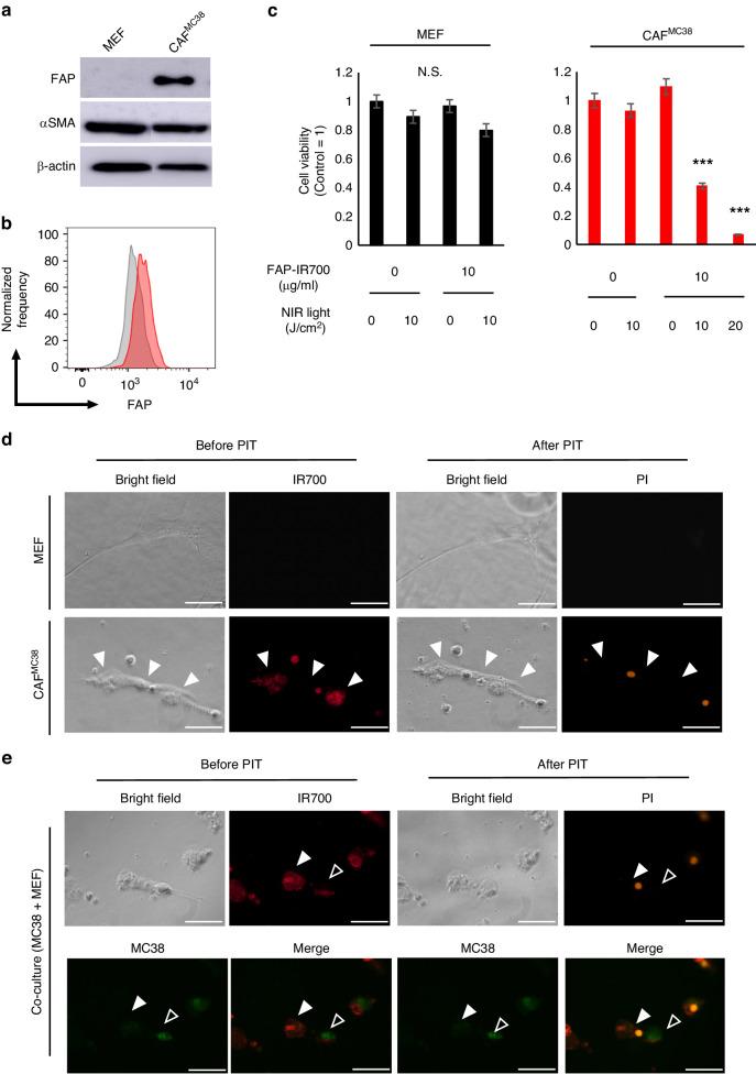 https://cdn.ncbi.nlm.nih.gov/pmc/blobs/d120/11091110/890fc76db76e/41416_2024_2639_Fig1_HTML.jpg