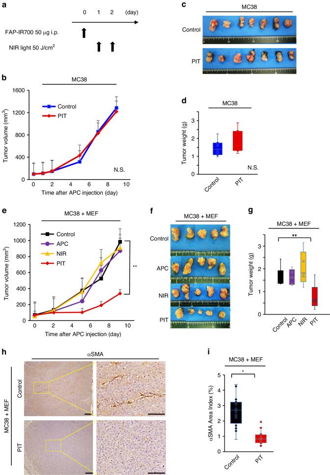 https://cdn.ncbi.nlm.nih.gov/pmc/blobs/d120/11091110/b00544fe86f3/41416_2024_2639_Fig3_HTML.jpg