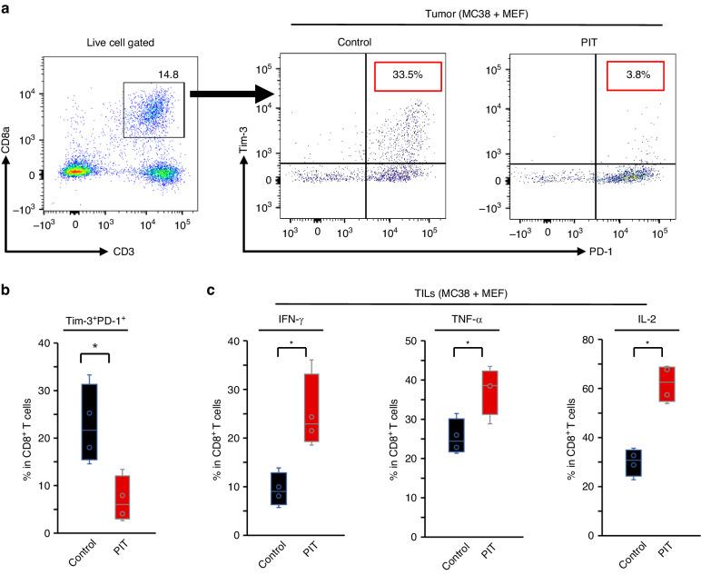 https://cdn.ncbi.nlm.nih.gov/pmc/blobs/d120/11091110/cf0c5feca6ad/41416_2024_2639_Fig6_HTML.jpg
