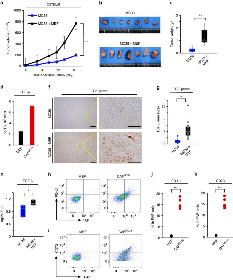 https://cdn.ncbi.nlm.nih.gov/pmc/blobs/d120/11091110/d3390a4497c5/41416_2024_2639_Fig2_HTML.jpg