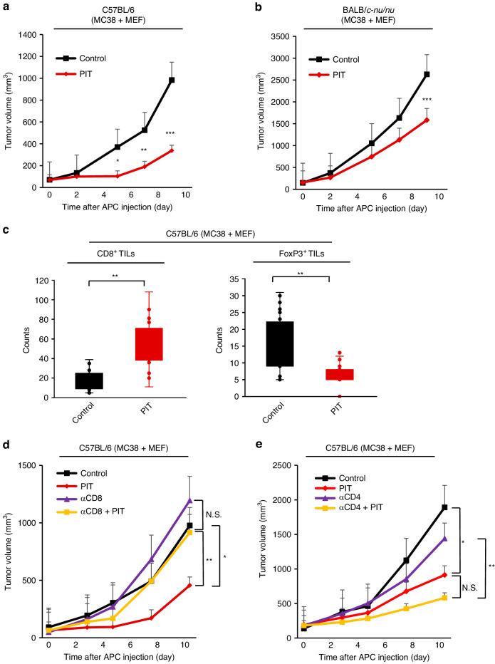 https://cdn.ncbi.nlm.nih.gov/pmc/blobs/d120/11091110/d8d225d7b369/41416_2024_2639_Fig4_HTML.jpg