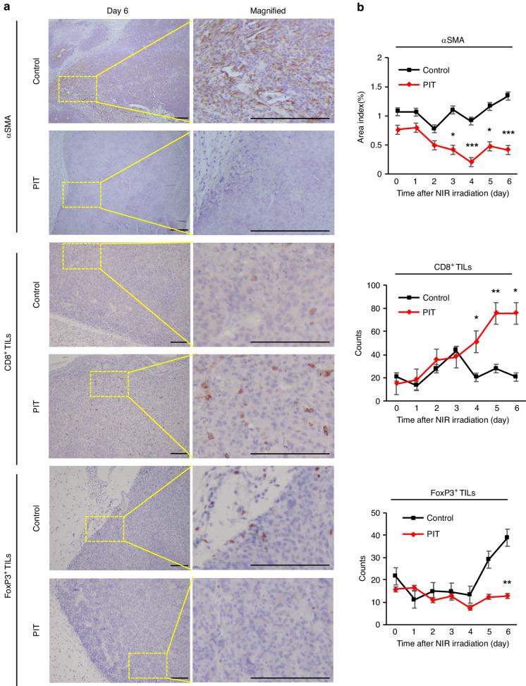 https://cdn.ncbi.nlm.nih.gov/pmc/blobs/d120/11091110/eae78ff5076c/41416_2024_2639_Fig5_HTML.jpg
