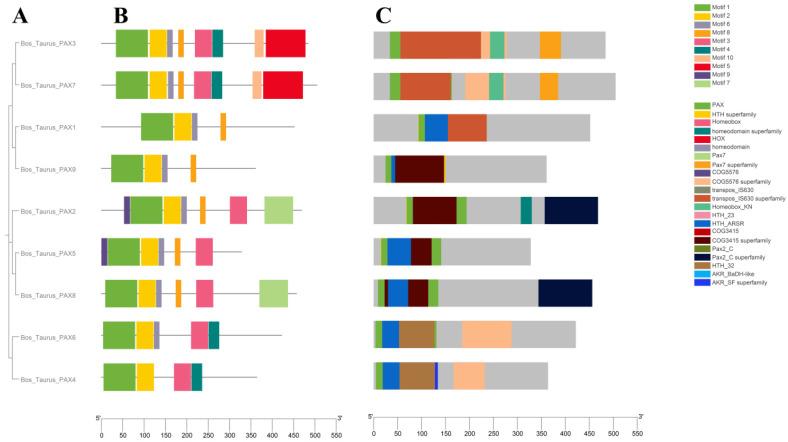 https://cdn.ncbi.nlm.nih.gov/pmc/blobs/d121/11275364/6b74d0067801/genes-15-00897-g003.jpg