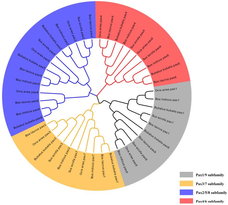 https://cdn.ncbi.nlm.nih.gov/pmc/blobs/d121/11275364/9bad42e14ab6/genes-15-00897-g001.jpg