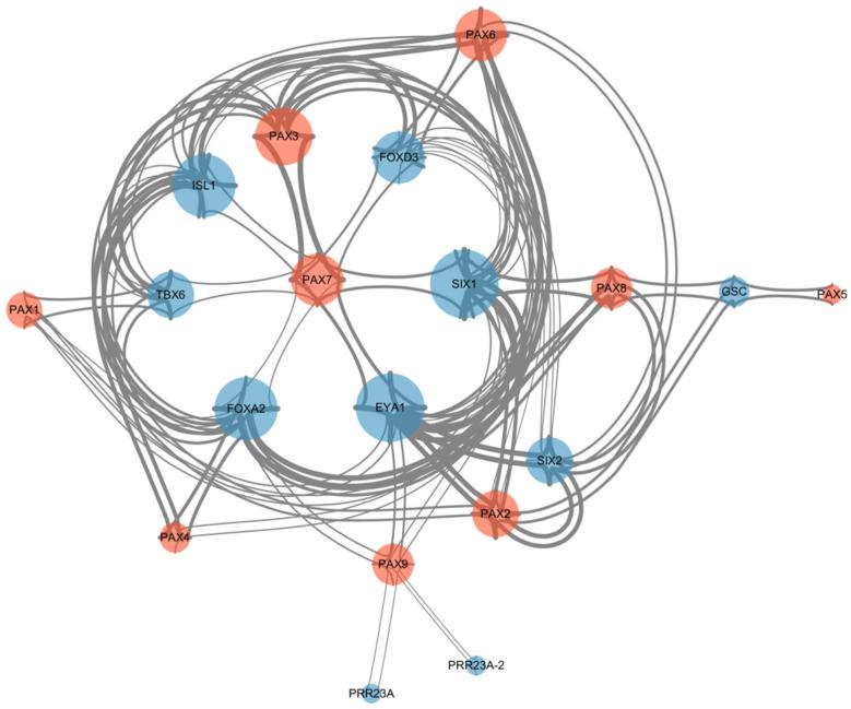 https://cdn.ncbi.nlm.nih.gov/pmc/blobs/d121/11275364/9d32ddfda00d/genes-15-00897-g008.jpg