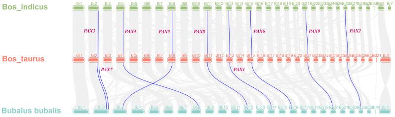 https://cdn.ncbi.nlm.nih.gov/pmc/blobs/d121/11275364/e36cd4279879/genes-15-00897-g005.jpg