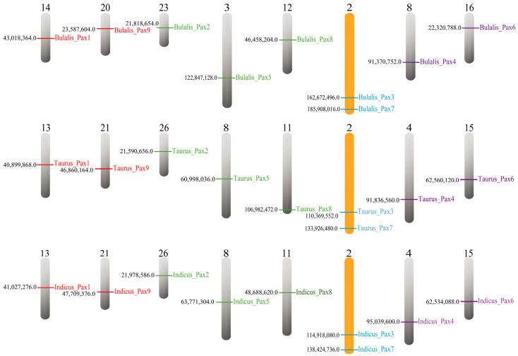 https://cdn.ncbi.nlm.nih.gov/pmc/blobs/d121/11275364/e3f524e3a192/genes-15-00897-g004.jpg