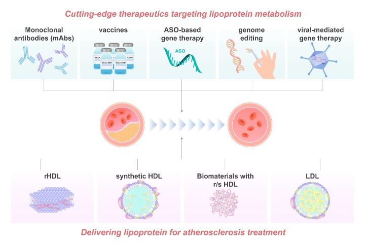 https://cdn.ncbi.nlm.nih.gov/pmc/blobs/d123/8947823/10b758d70cb9/AD-13-2-491-g2.jpg