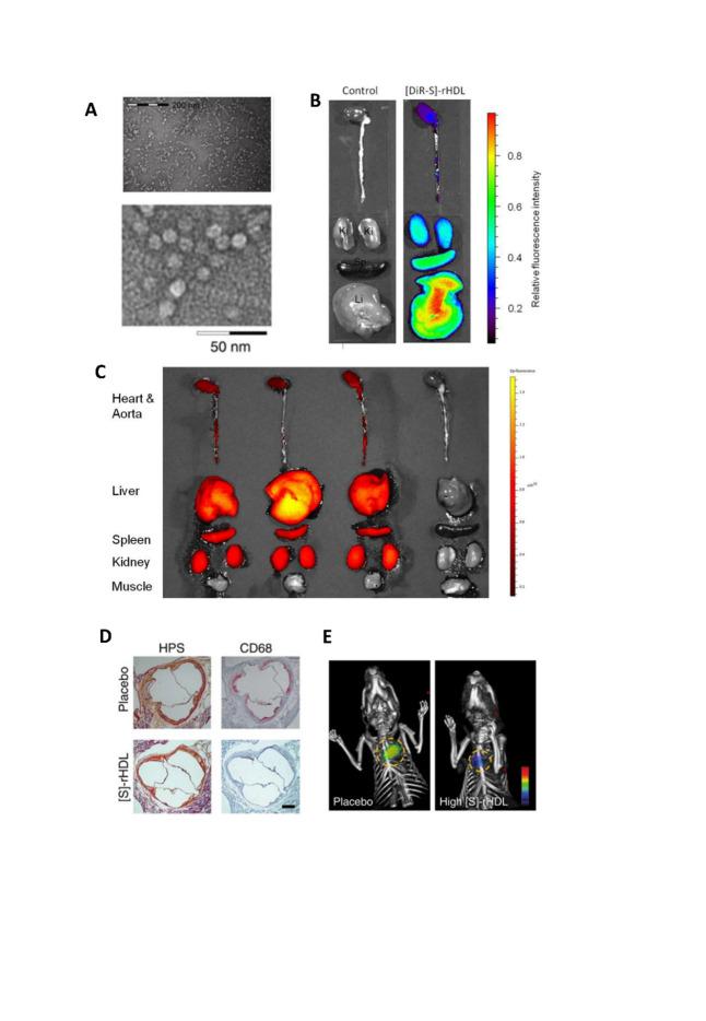 https://cdn.ncbi.nlm.nih.gov/pmc/blobs/d123/8947823/6be0f14e739e/AD-13-2-491-g3.jpg