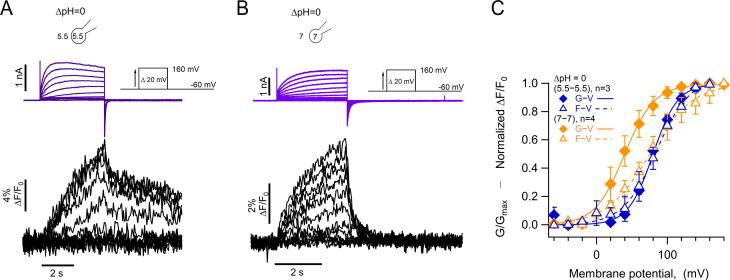 https://cdn.ncbi.nlm.nih.gov/pmc/blobs/d123/9925047/0b3174601a8f/elife-85836-fig6.jpg