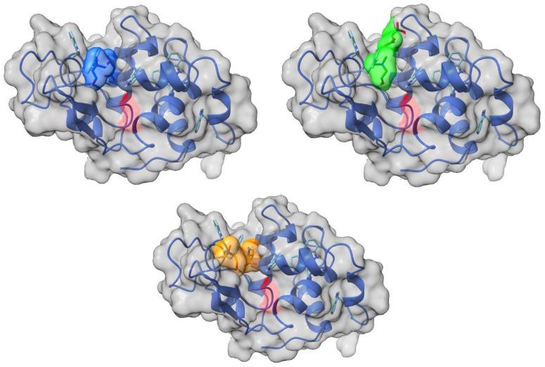 https://cdn.ncbi.nlm.nih.gov/pmc/blobs/d125/11990322/52fb7513e6d3/molecules-30-01574-g008.jpg