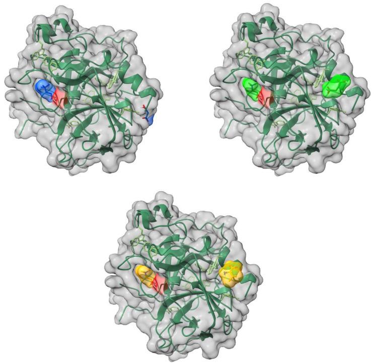 https://cdn.ncbi.nlm.nih.gov/pmc/blobs/d125/11990322/d580d59b297d/molecules-30-01574-g009.jpg