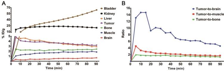 https://cdn.ncbi.nlm.nih.gov/pmc/blobs/d125/6401404/ccb6c065c204/thnov09p1144g008.jpg
